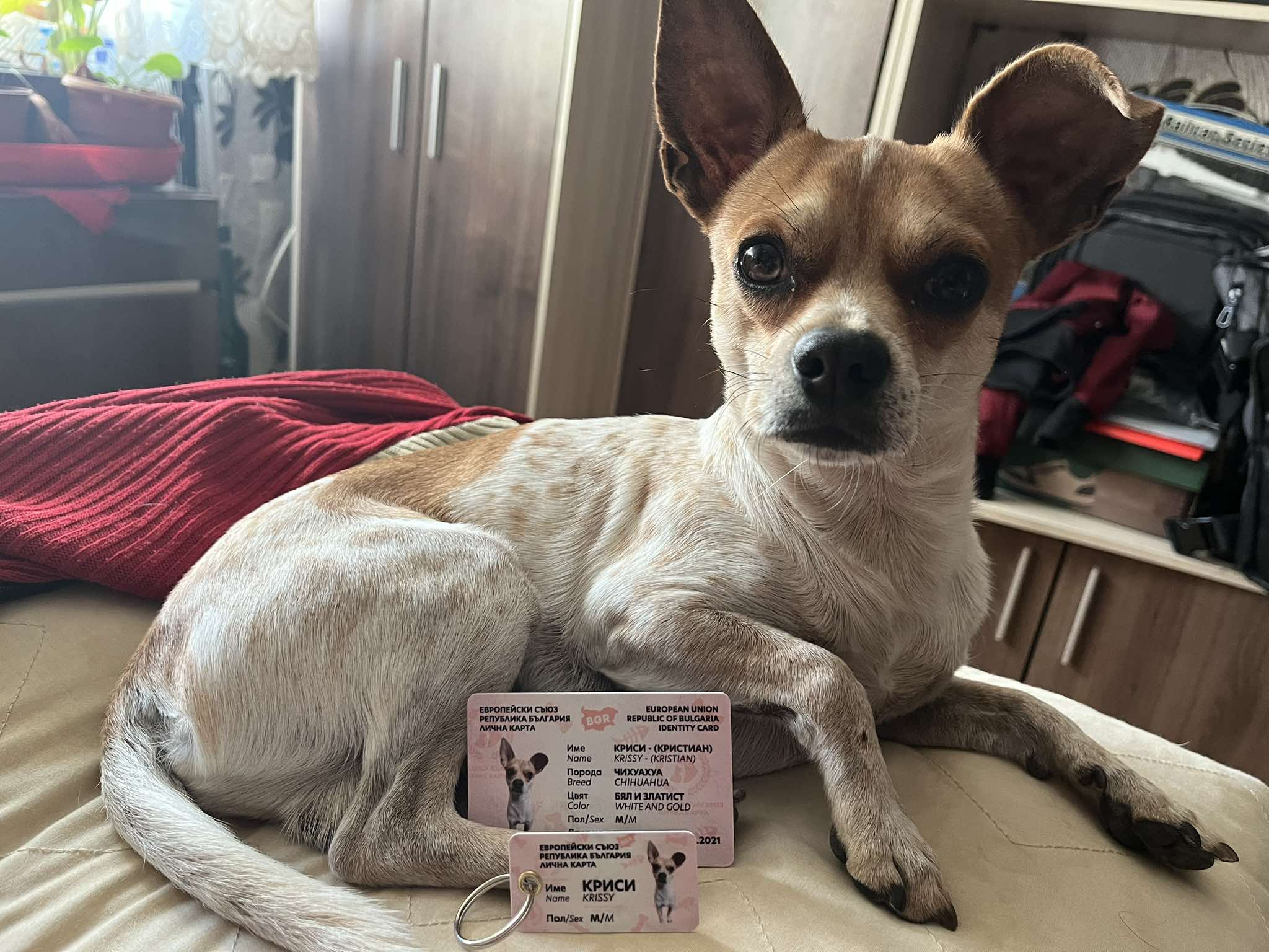 Пламен и Криси