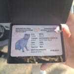Персонализирана лична карта и медальон за домашен любимец photo review