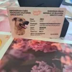 Персонализирана лична карта и медальон за домашен любимец photo review