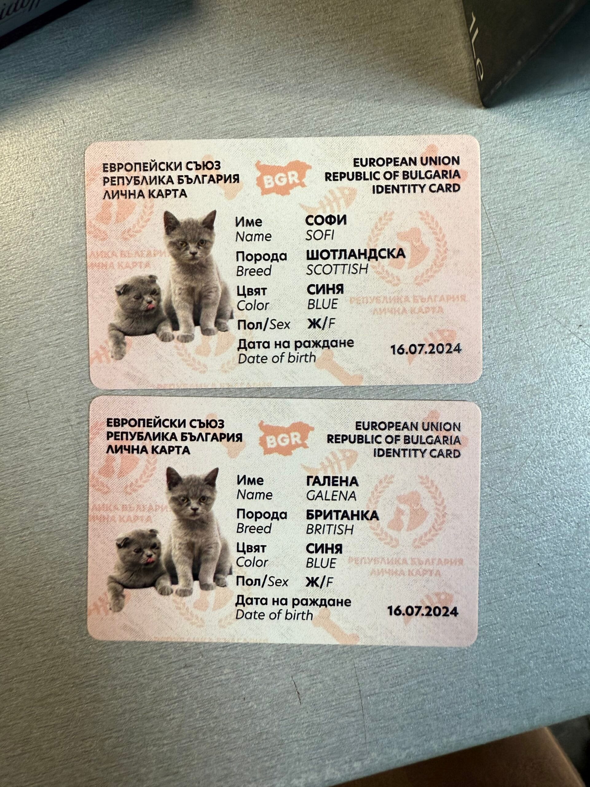 Мирослав Пергьов