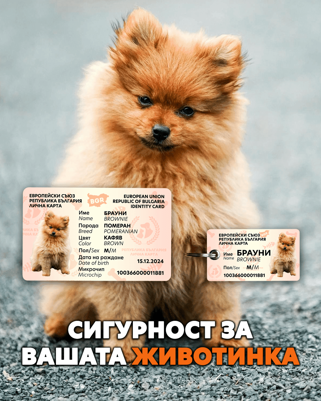 Медальон за куче с микрочип номер - Jivotinka.com