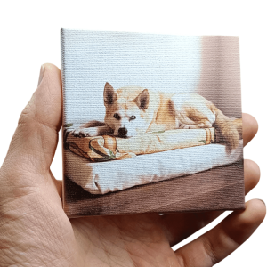 Персонализирана канава със снимка