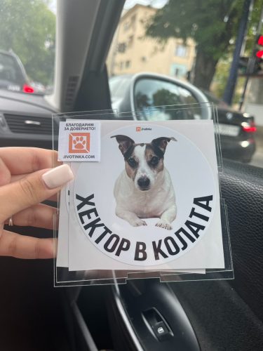 Персонализиран стикер „[Име] в колата“ – със снимка на домашния любимец photo review