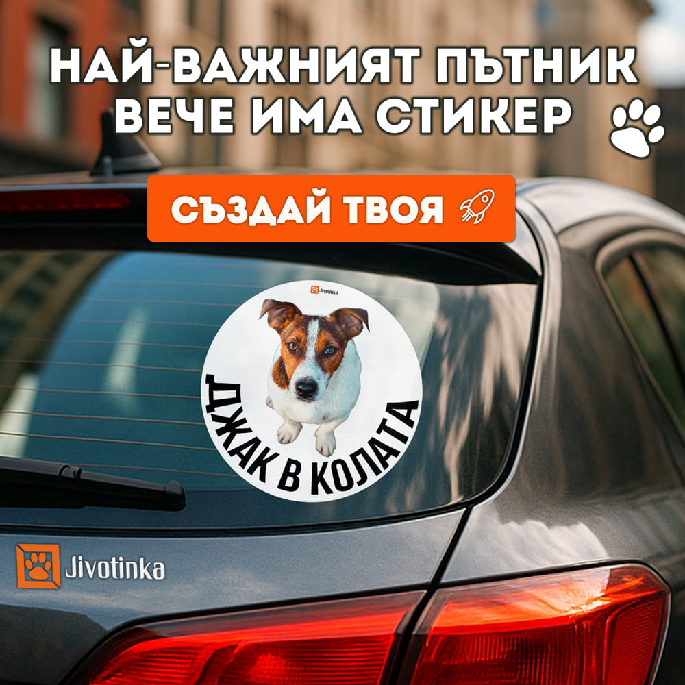 Персонализиран стикер „[Име] в колата“ – със снимка на домашния любимец 1