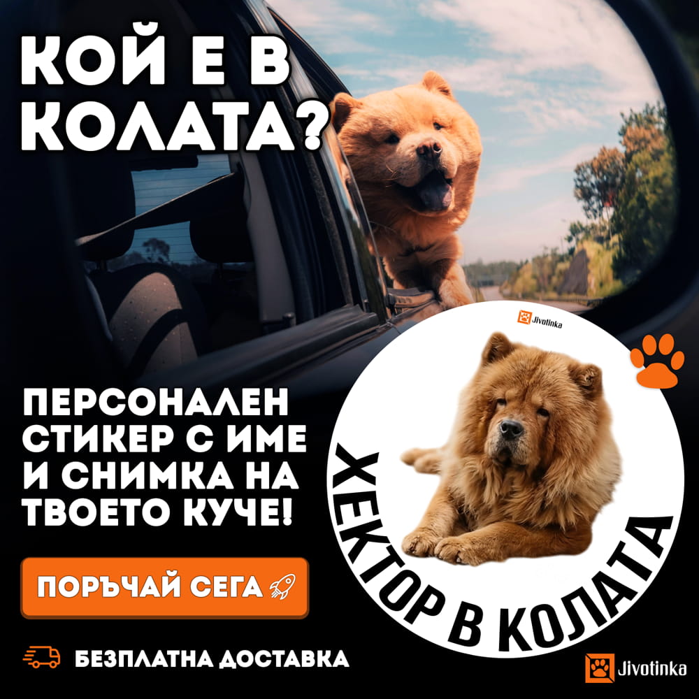 Персонализиран стикер „[Име] в колата“ – със снимка на домашния любимец 2