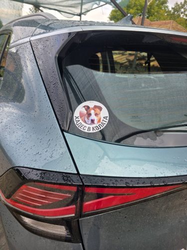 Персонализиран стикер „[Име] в колата“ – със снимка на домашния любимец photo review